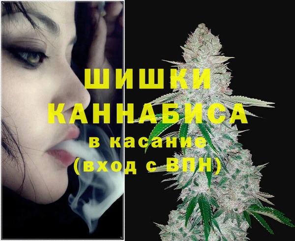 индика Алексеевка