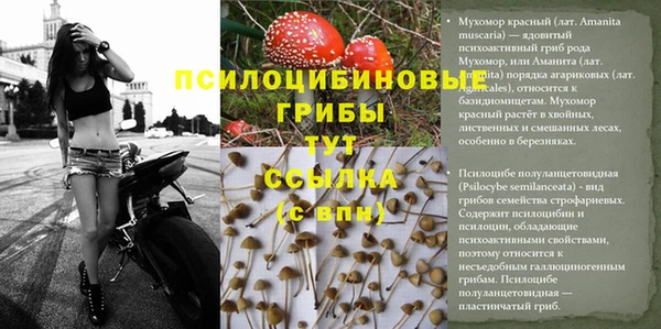 ешки Алзамай