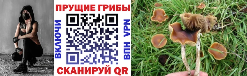 Галлюциногенные грибы MAGIC MUSHROOMS  наркотики  Ливны 