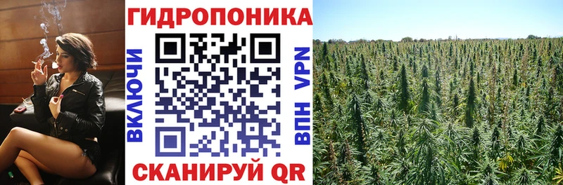 Бошки марихуана индика  хочу наркоту  Ливны 